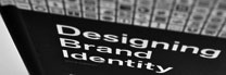 Designing Brand Identity book