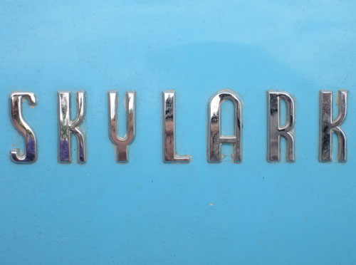 Skylark logotype