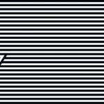 7×7
