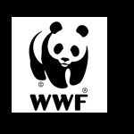 15 wonderfully simple logo designs