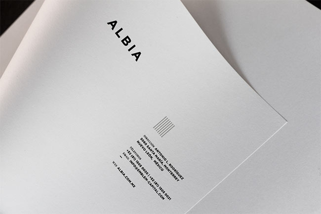 albia-identity-02 The seven pillars of Albia design tips