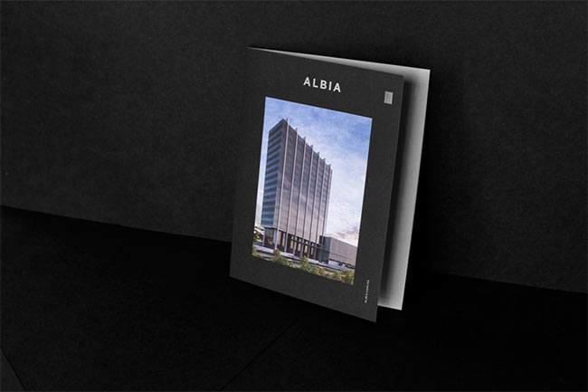 albia-identity-05 The seven pillars of Albia design tips 