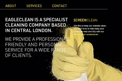 Eagle Clean website design