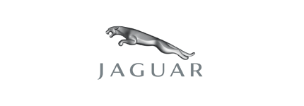 Jaguar logo design