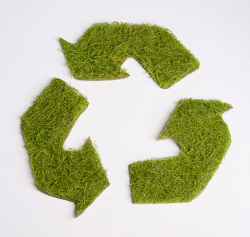 recycle symbol in grass