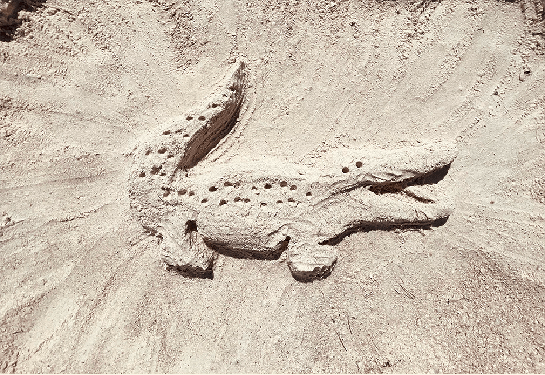 Brand castle Lacoste logo